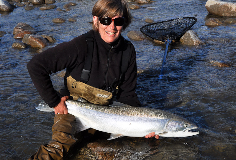 Dean River Steelhead