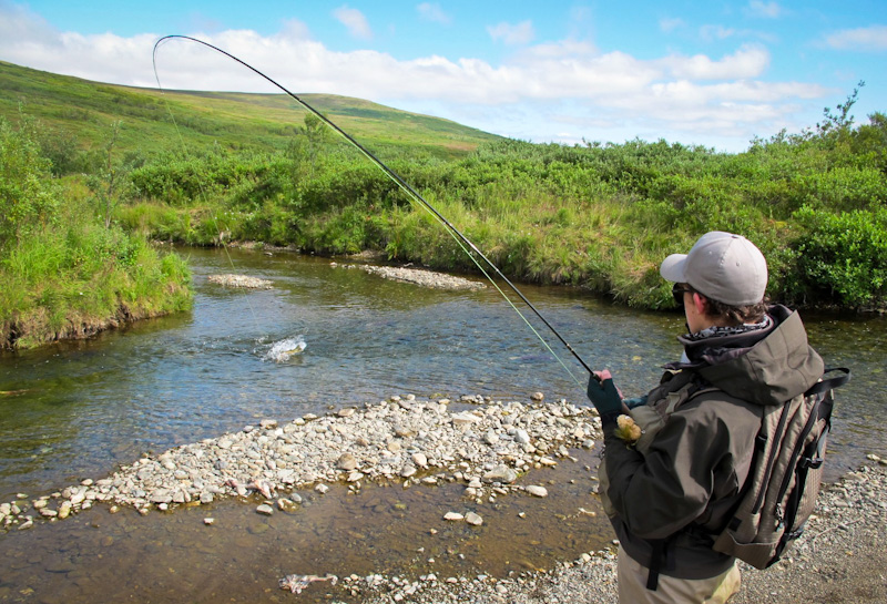 Trout Rig Setup