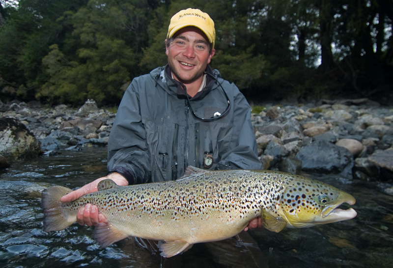 Brown Trout or Atlantic Salmon?