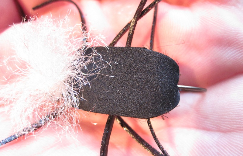 cantaria beetle fly pattern