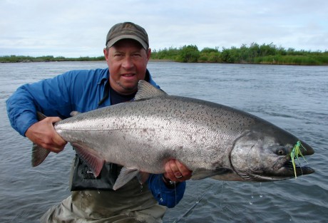 King Salmon - Catch More