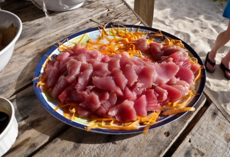 Tuna at Andros South