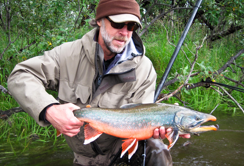 Dolly Varden 4 Reasons to Fish for them at Alaska West