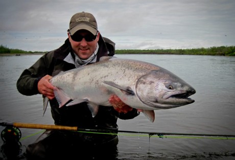 King Salmon - Larimer