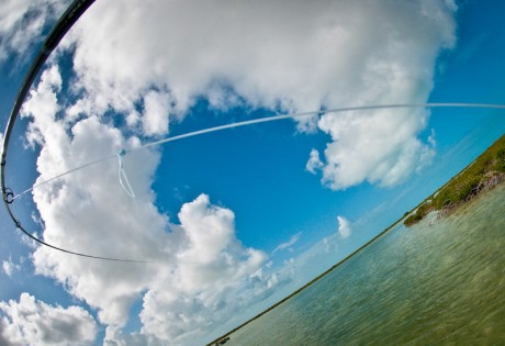 Knotted Fly Line by Louis Cahill Photography