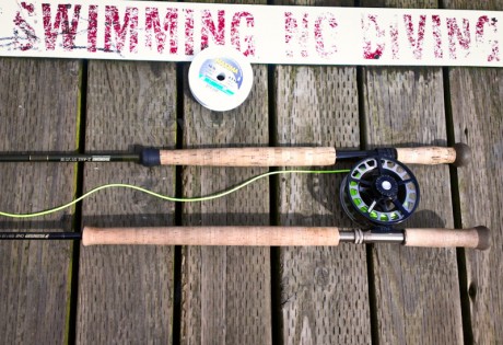 Sage ONE Spey Review