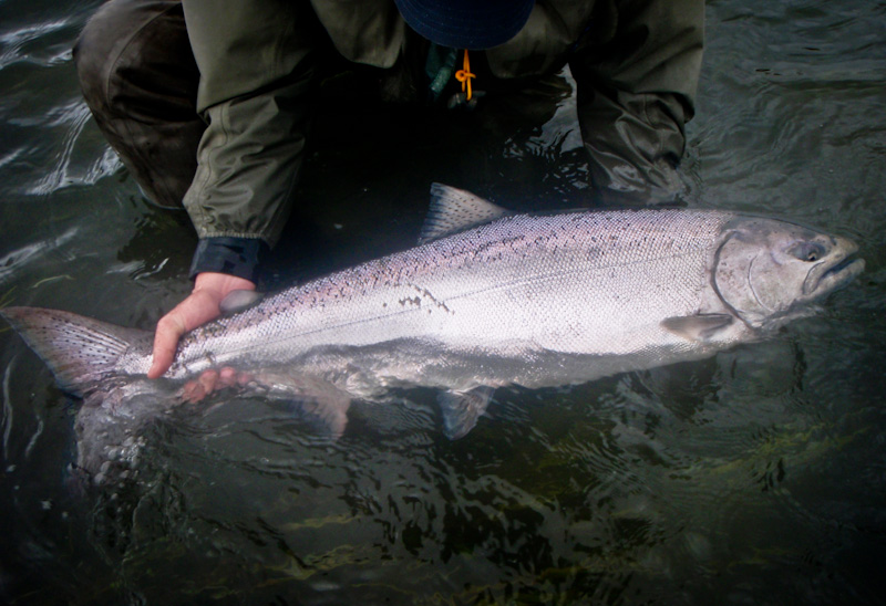 Bullet Weights | Steelhead and Salmon Tube Flies