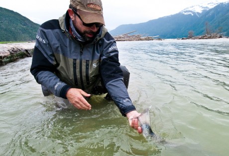 Steelhead Release by Louis Cahill Photography