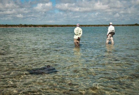 Wading a Flat with a Ray by Louis Cahill Photography