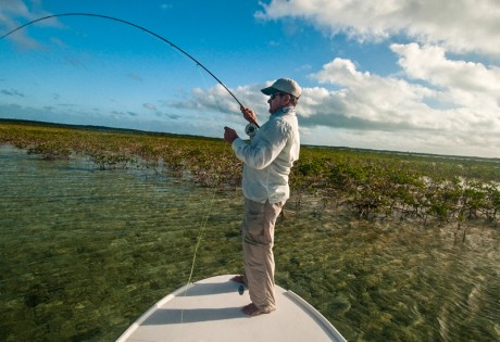 Hooked Up Bonefish by Louis Cahill