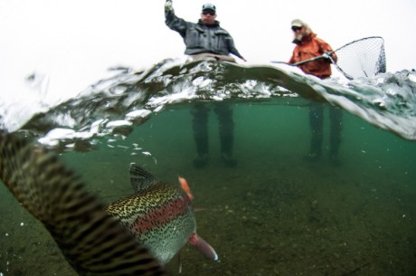 Trout Fishing in Alaska