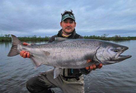 Alaska West King Salmon