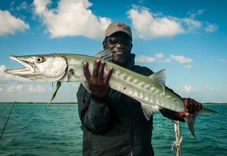 Andros Barracuda by Louis Cahill Photography