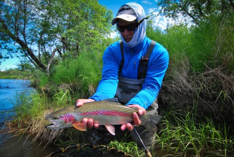Fly fishing articles - rainbow trout
