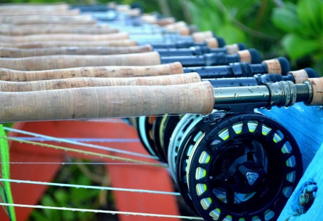 Andros Island Pictures - Rods