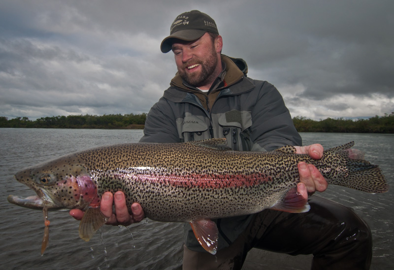 Big Rainbow Trout at Alaska West Fly Fishing for Giant Rainbows