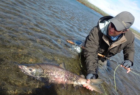 Chum Salmon Release at Alaska West
