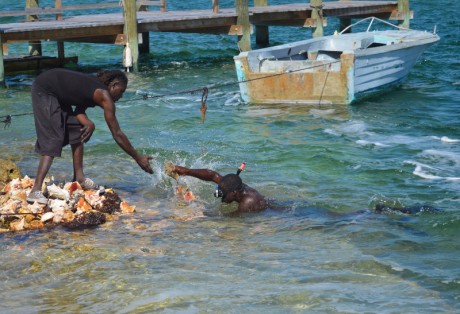 Diving for Conch on South Andros