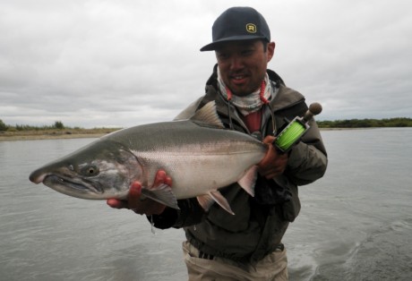 Fly Fishing for Silver Salmon at Alaska West