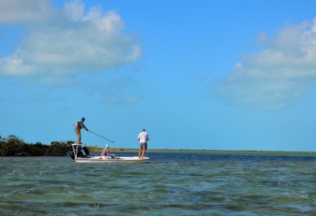 Poling for bonefish at Andros South