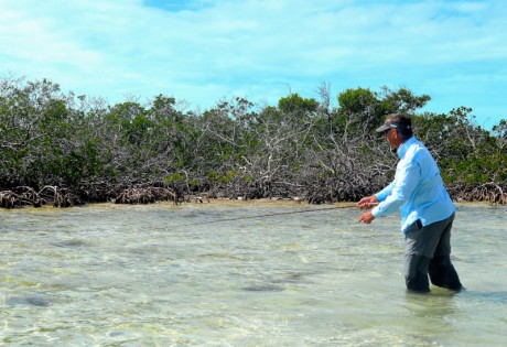 Fly Fishing for Bonefish in Mangroves