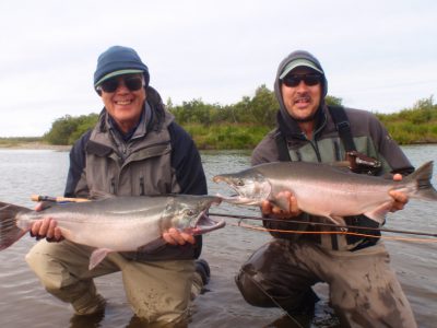 Fly fishing for silver salmon at Alaska West