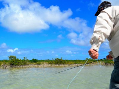 Fly fishing for bonefish