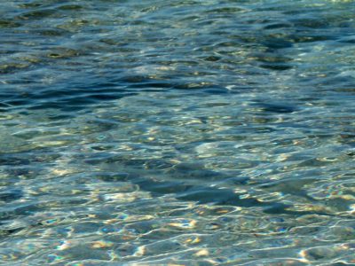 Spotting Bonefish on the Flats