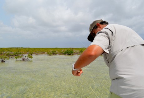 Line Management When Fly Fishing for Bonefish