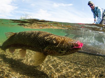 Fly fishing for trout in Alaska, photo by Tosh Brown