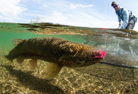 Fly fishing for trout in Alaska, photo by Tosh Brown