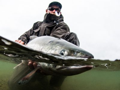 Fly Fishing for Chum Salmon