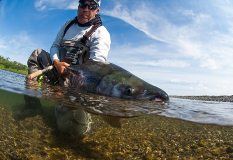 Fly fishing for chum salmon
