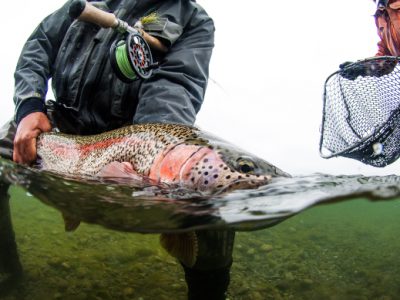 Spey Fishing for Trout