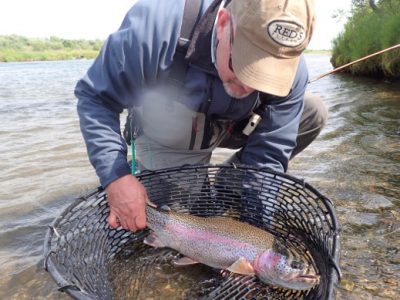Mouse fishing for rainbow trout