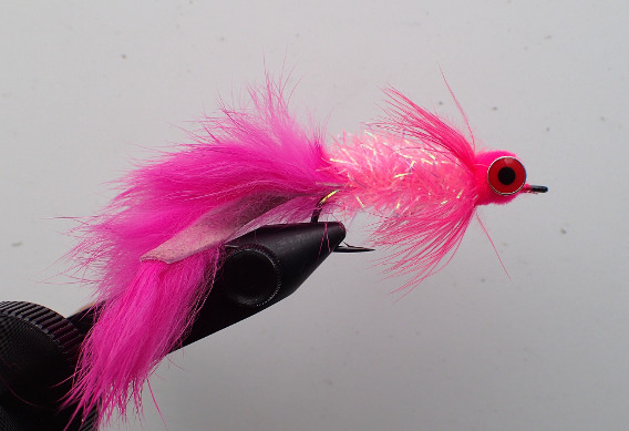 6 Reasons This Fly Works | Flies for Chum and Silver Salmon