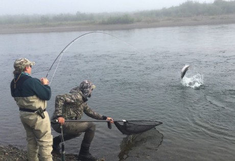 Fly Fishing for Silver Salmon at Alaska West