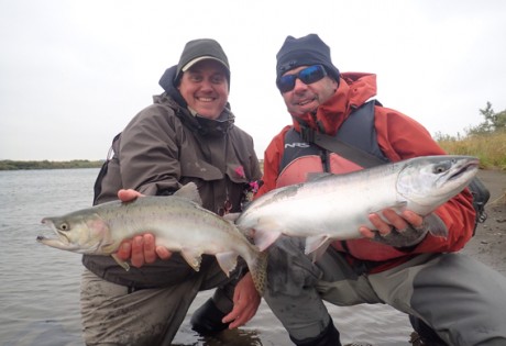 Fly fishing for pink salmon and silver salmon