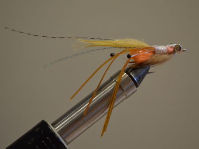 How to Tie Peterson's Spawning Shrimp Fly for Bonefish.