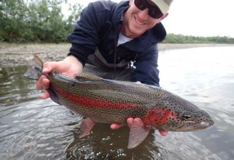 Fly fishing for big rainbow trout in western Alaska.