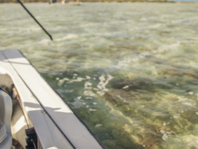 Fly fishing for bonefish from a flats skiff.