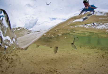 Underwater picture of landing a bonefish by Tosh Brown.