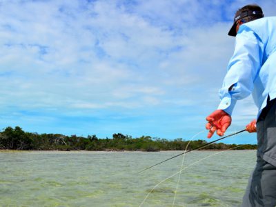 Retrieving the fly for bonefish.