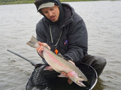 Fly fishing for rainbow trout.