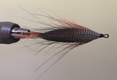 How to tie the Lady Amherst Salmon and Steelhead Fly.
