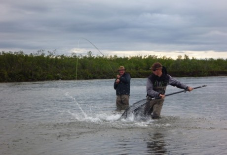 Landing silver salmon on the fly at Alaska West.