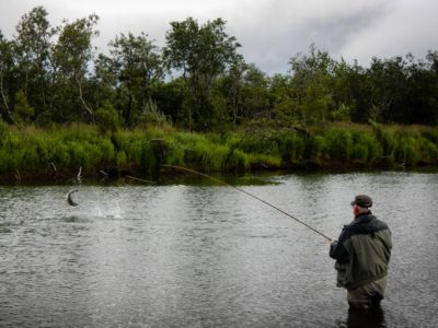 Fly fishing for silver salmon.