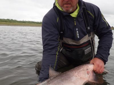 Spey Fishing for King Salmon.