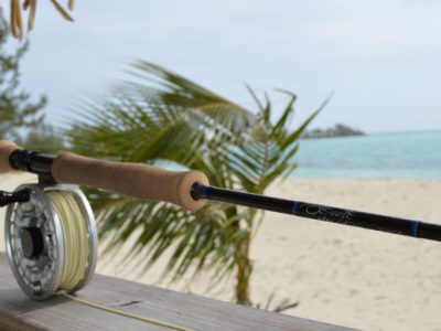 Scott meridian fly rod review.