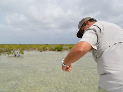 Fly fishing for bonefish, avoiding tangles.